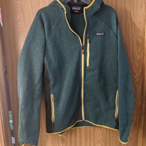 Patagonia Better Sweater Hoodie